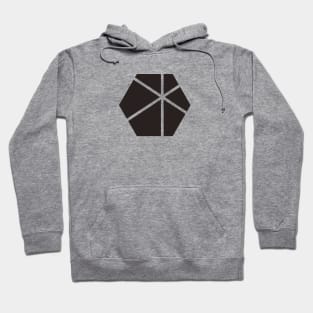 Project Stardust Hoodie